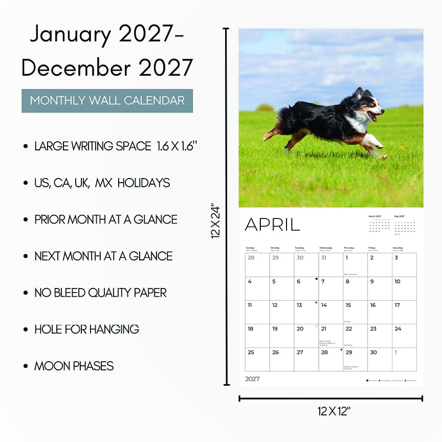 '27 Wall Calendar - Australian Shepherds
