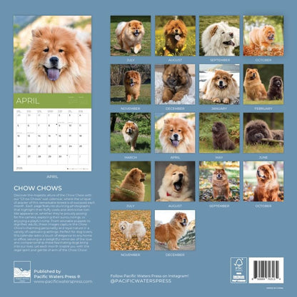 '26 Wall Calendar - Dogs - 18mo