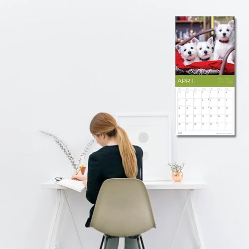 '26 Wall Calendar - Dogs - 18mo