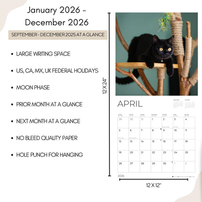 '26 Wall Calendar - Cats & Kittens