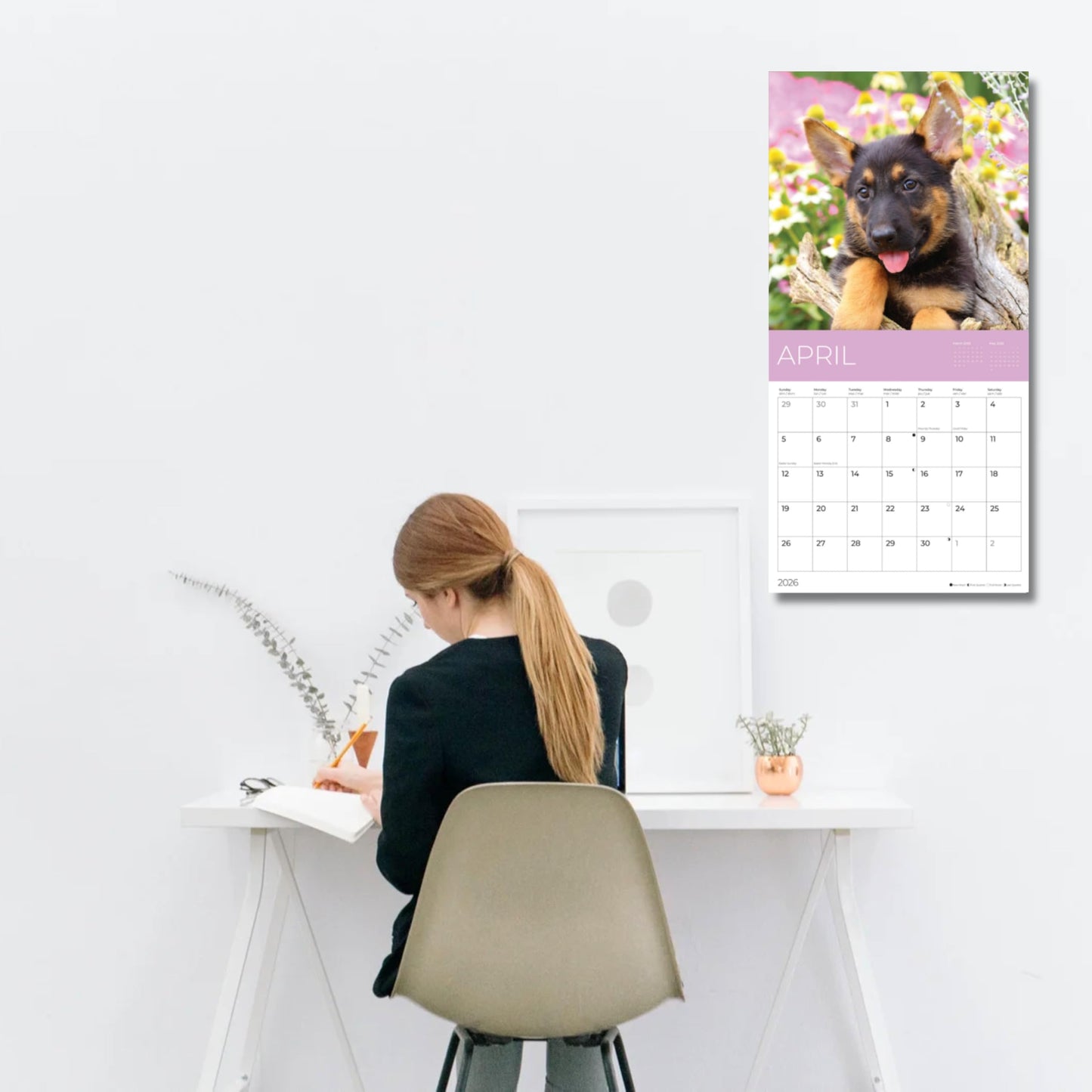 '26 Wall Calendar - Dogs - 18mo
