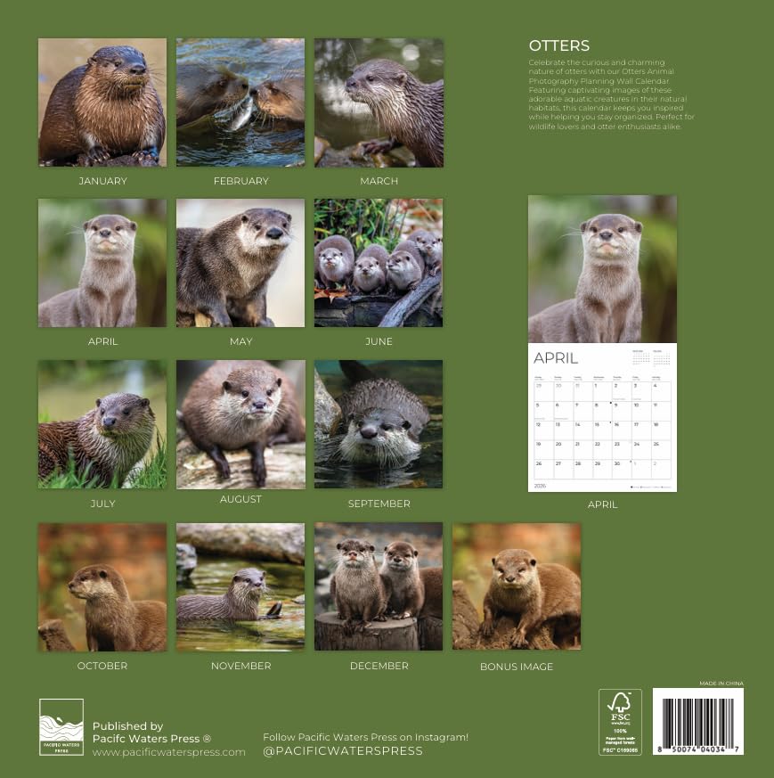 '26 Wall Calendar - Nature