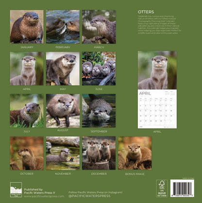 '26 Wall Calendar - Nature