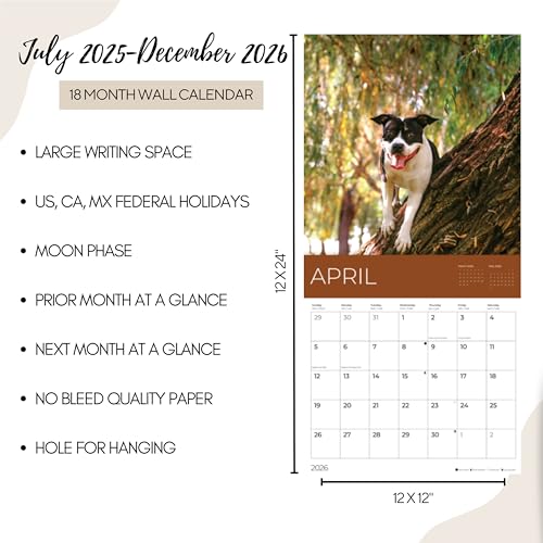 '26 Wall Calendar - Dogs - 18mo