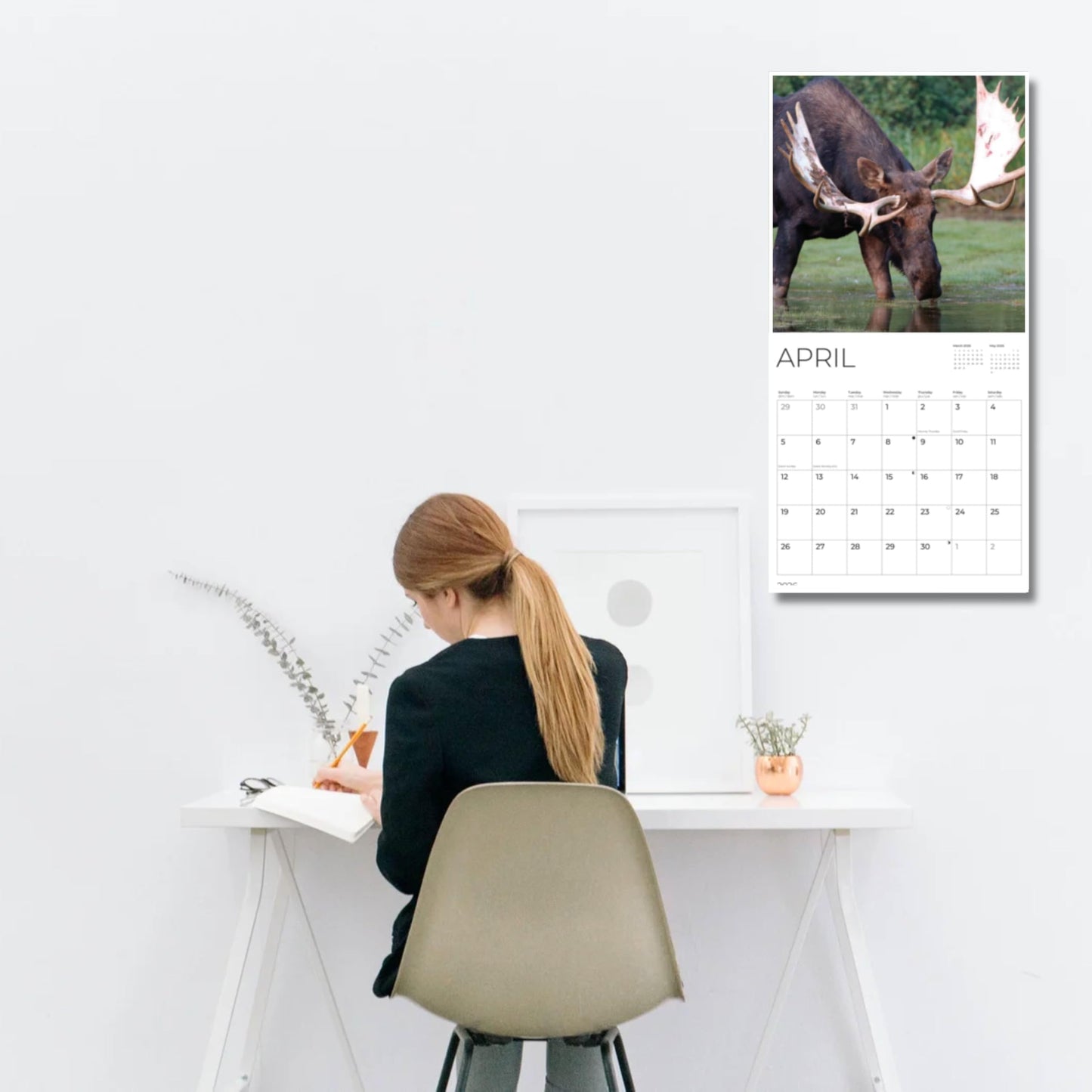 '26 Wall Calendar - Baby Animals
