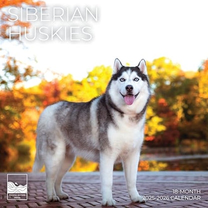 '26 Wall Calendar - Dogs - 18mo