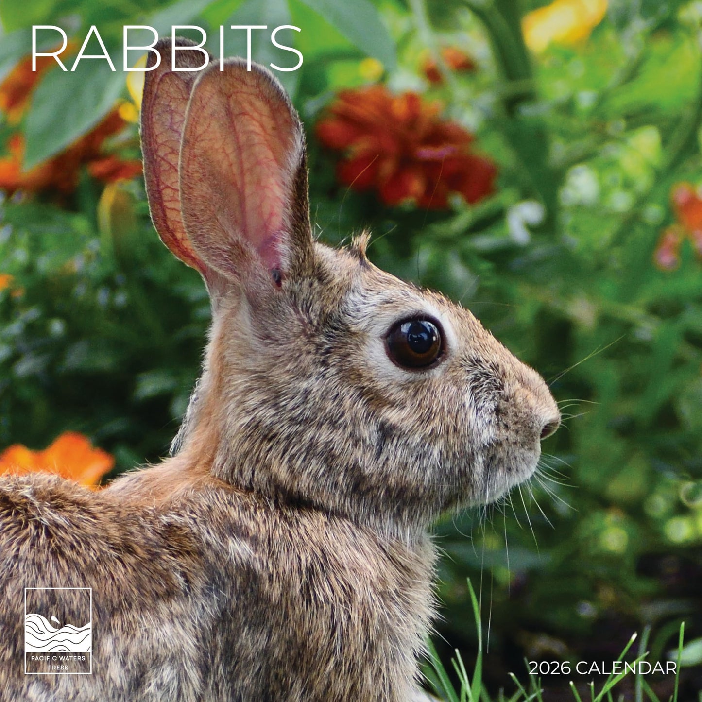 '26 Wall Calendar - Baby Animals