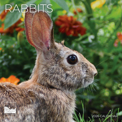 '26 Wall Calendar - Baby Animals