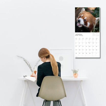 '26 Wall Calendar - Baby Animals