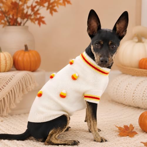 PFC X Found My Animal - Candy Corn Dog Sweater