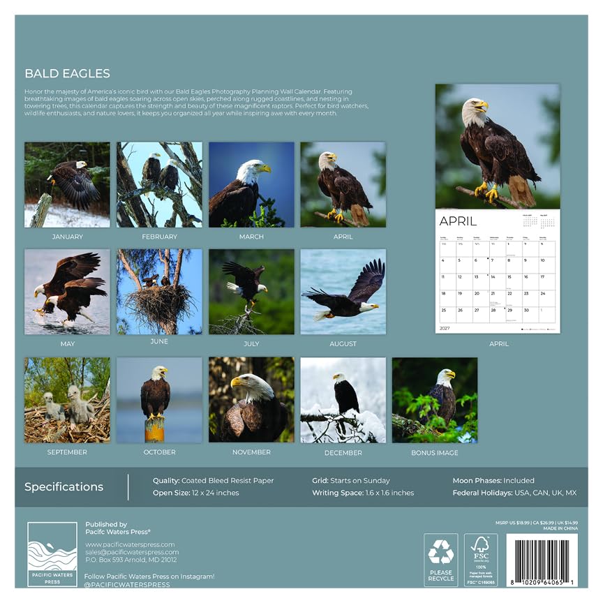 '27 Wall Calendar - Bald Eagles
