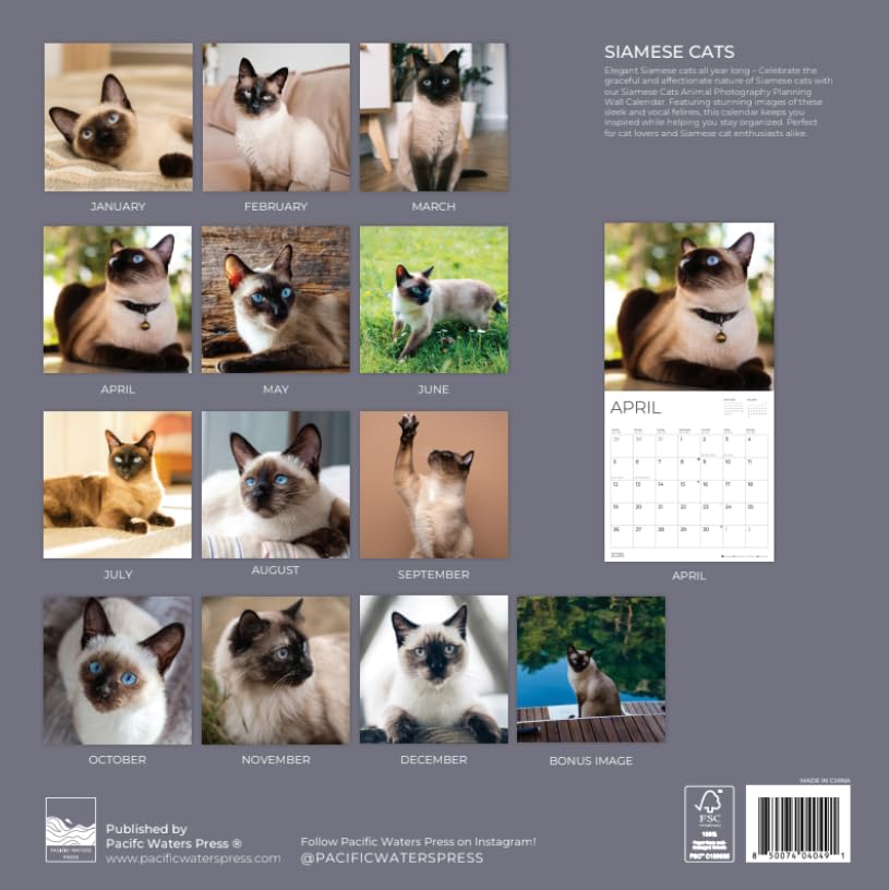 '26 Wall Calendar - Cats & Kittens