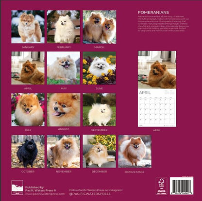 '26 Wall Calendar - Dogs