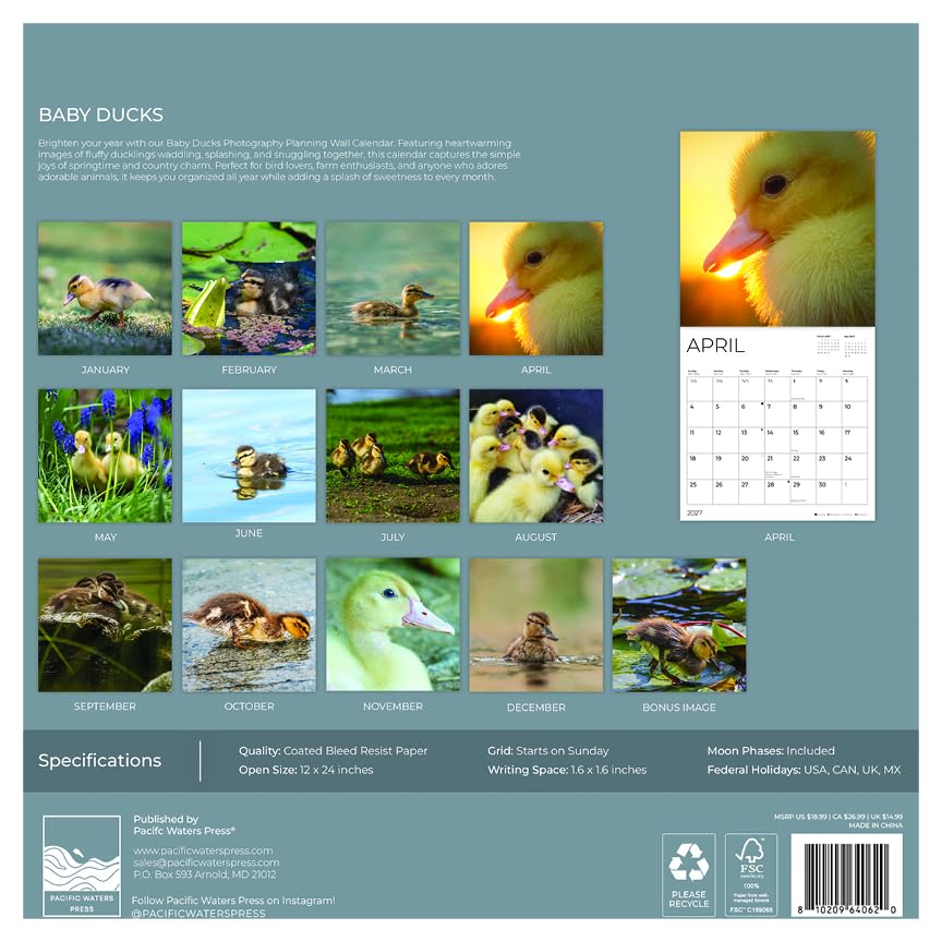 '27 Wall Calendar - Baby Ducks