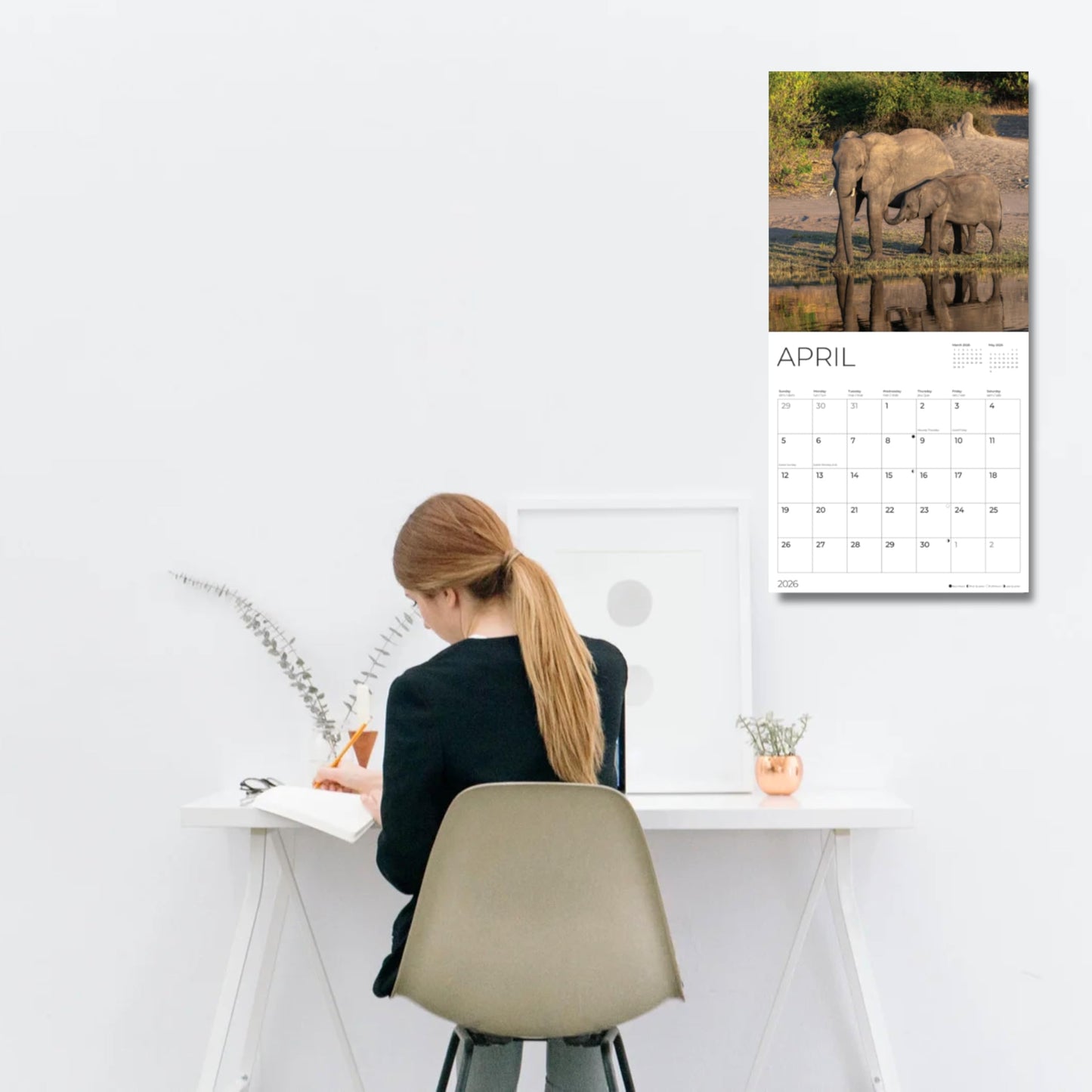'26 Wall Calendar - Baby Animals