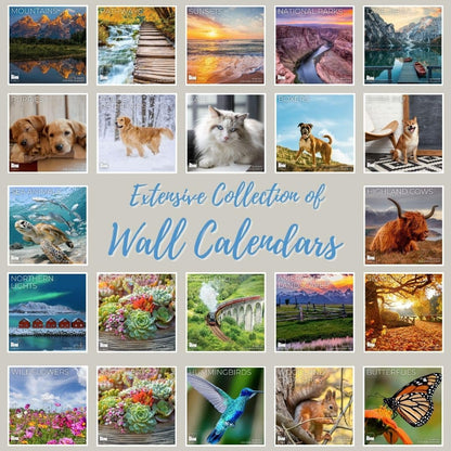 '26 Wall Calendar - Beaches around the Globe