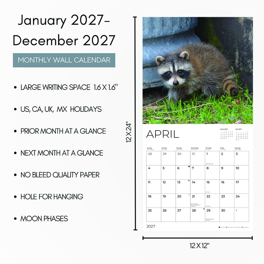 '27 Wall Calendar - Baby Raccoons