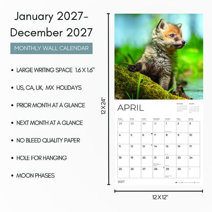 '27 Wall Calendar - Baby Foxes