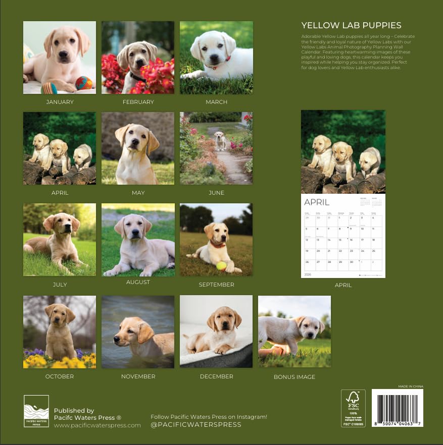 '26 Wall Calendar - Dogs