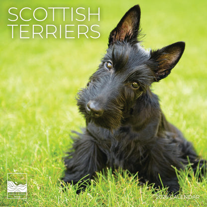 '26 Wall Calendar - Dogs