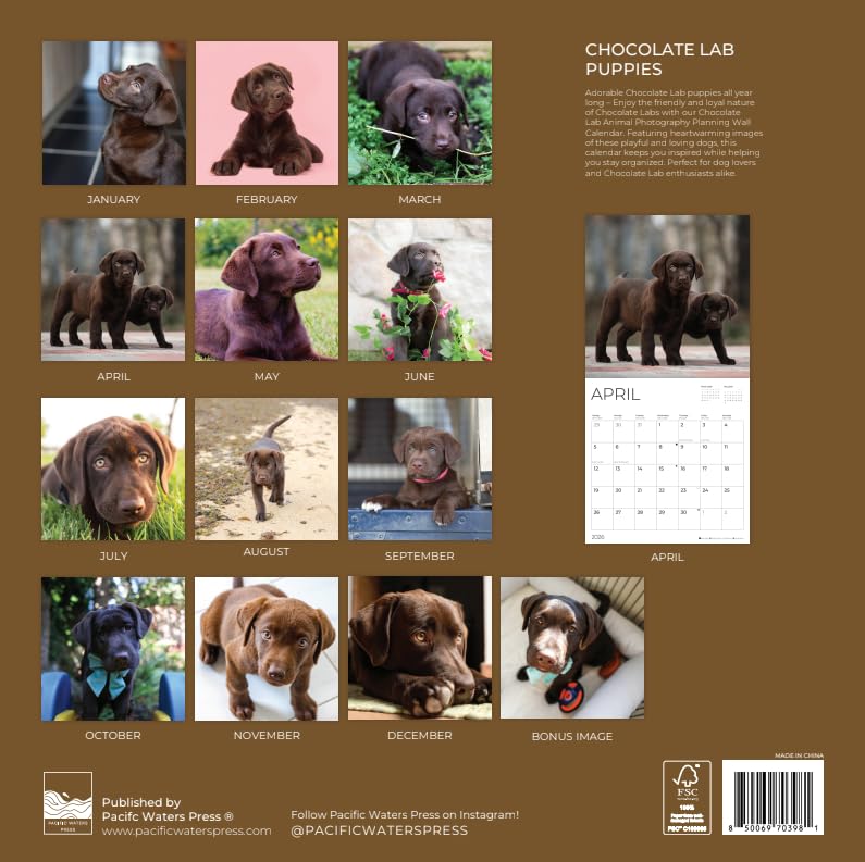 '26 Wall Calendar - Dogs