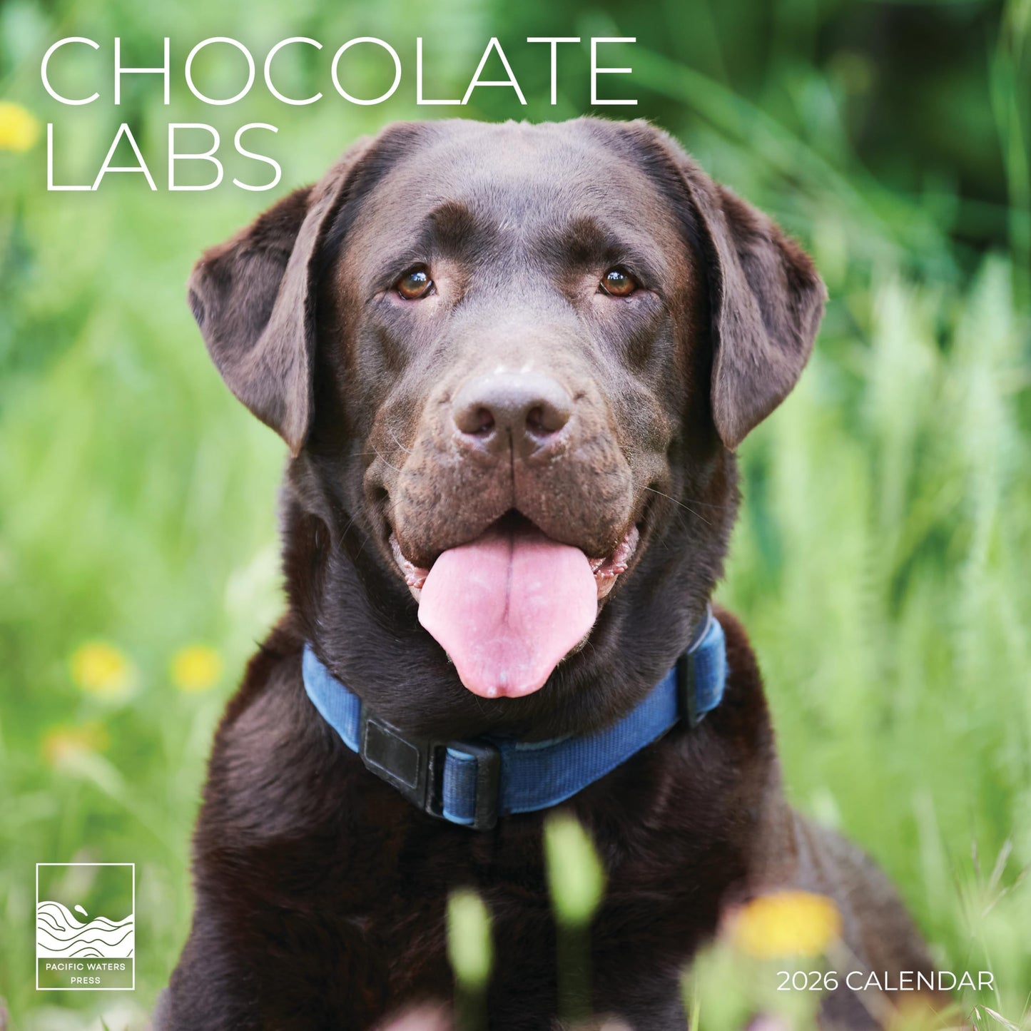 '26 Wall Calendar - Dogs
