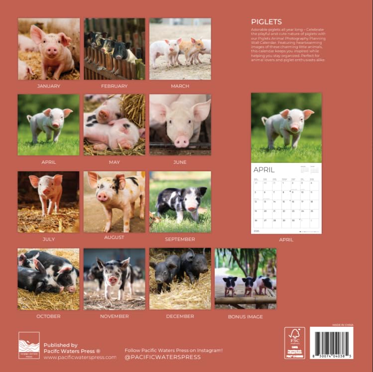'26 Wall Calendar - Baby Animals