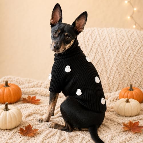 PFC X Found My Animal - BOO! Ghosts Dog Sweater