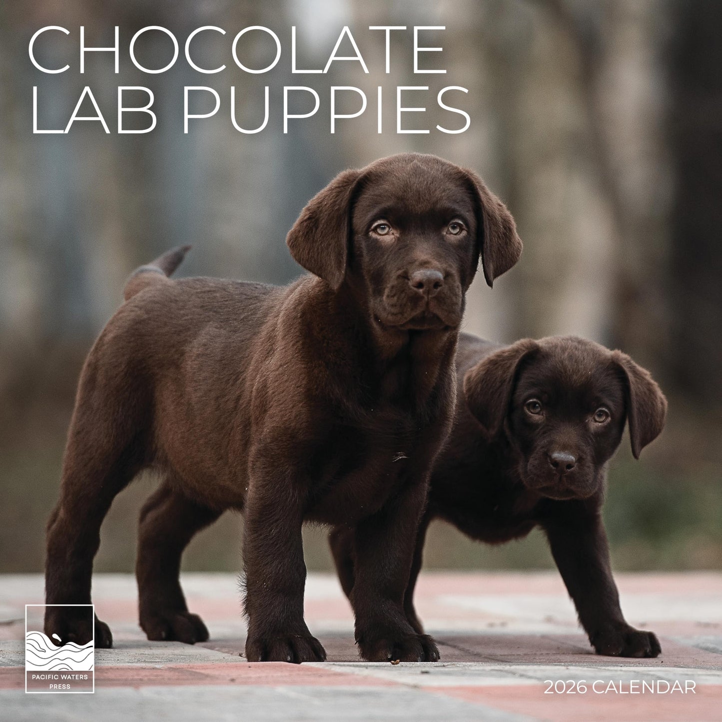 '26 Wall Calendar - Dogs