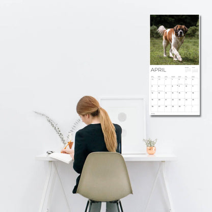 '26 Wall Calendar - Dogs