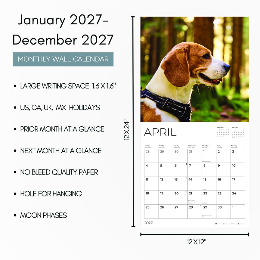 '27 Wall Calendar - Beagles