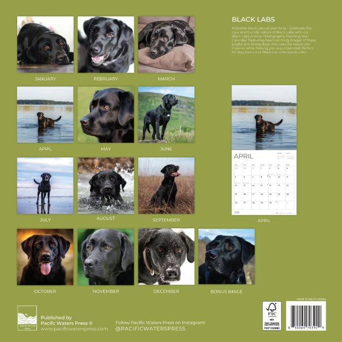 '26 Wall Calendar - Dogs