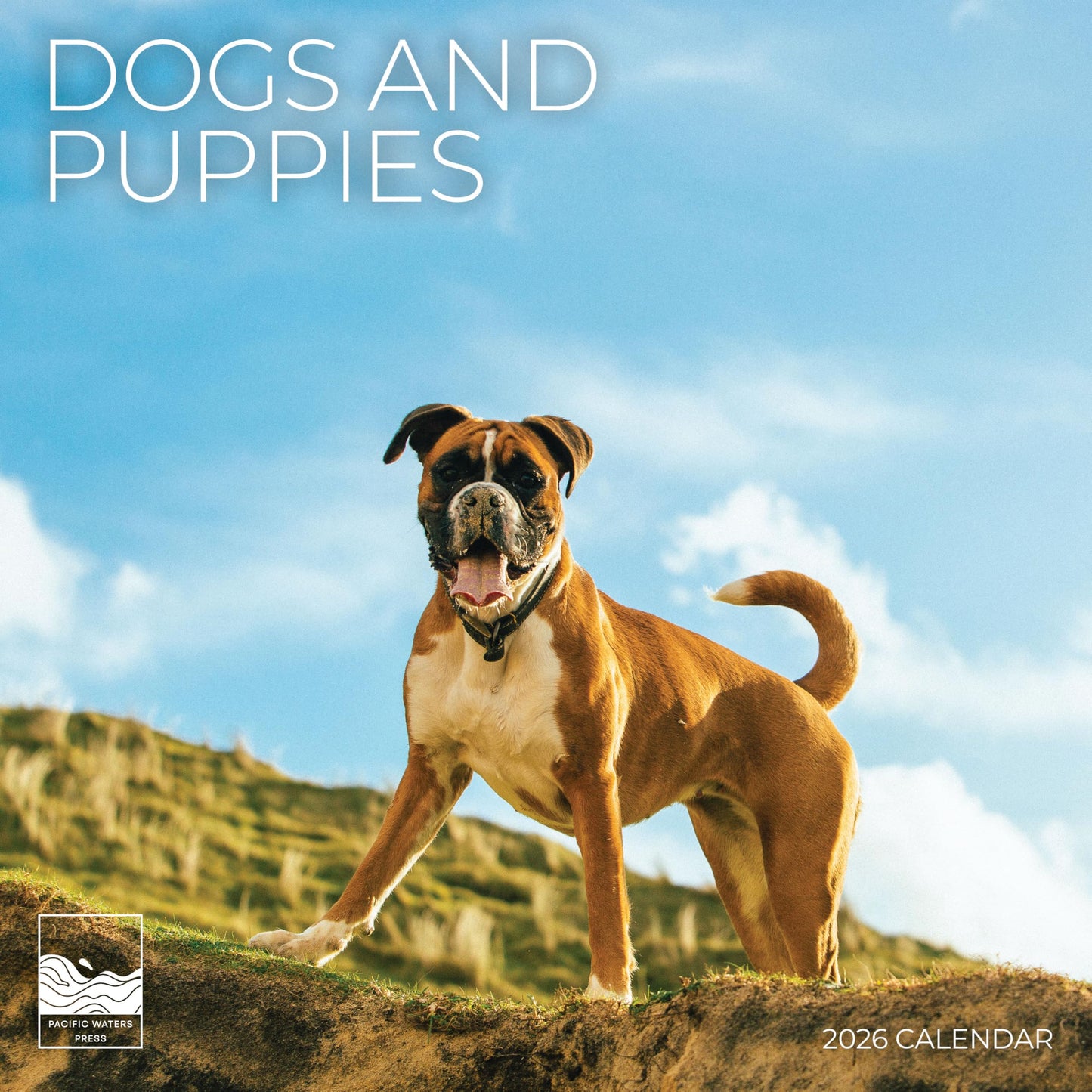 '26 Wall Calendar - Baby Animals