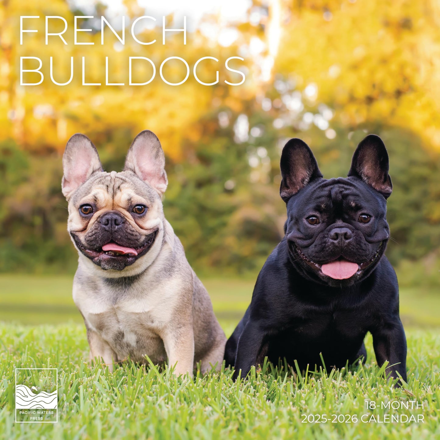 '26 Wall Calendar - Dogs - 18mo
