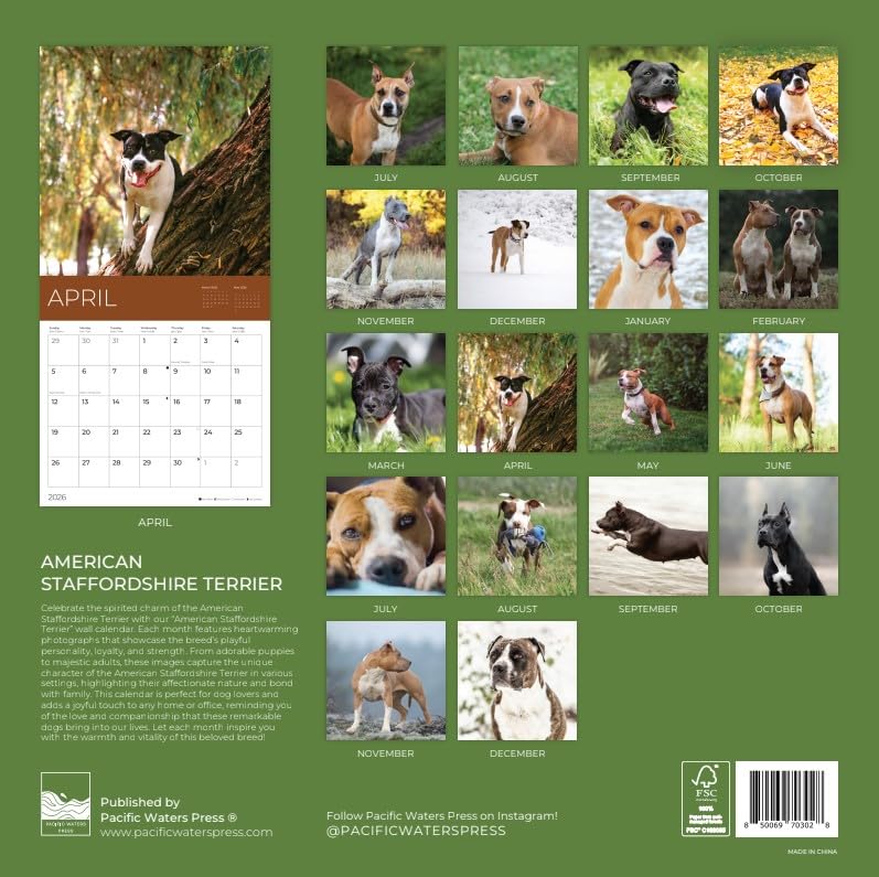 '26 Wall Calendar - Dogs - 18mo