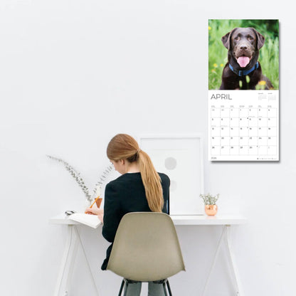 '26 Wall Calendar - Dogs