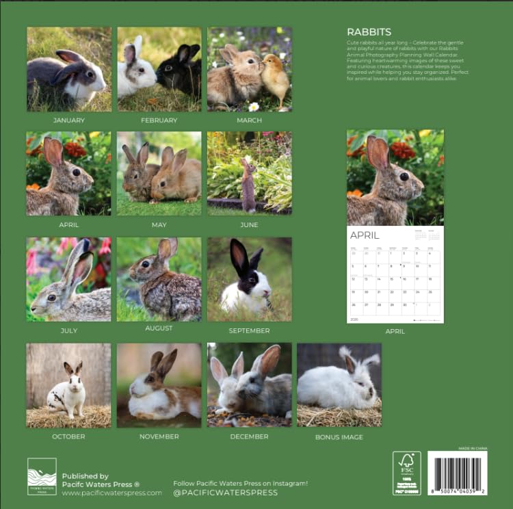 '26 Wall Calendar - Baby Animals