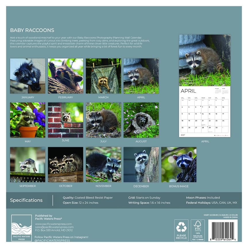 '27 Wall Calendar - Baby Raccoons