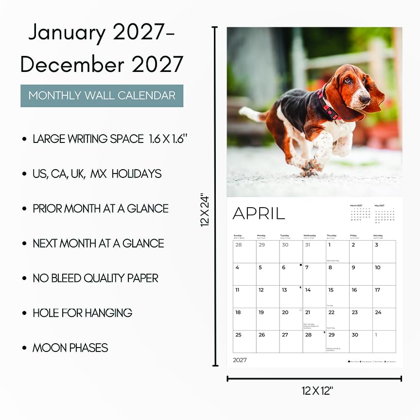 '27 Wall Calendar - Basset Hounds