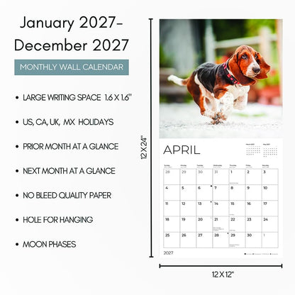 '27 Wall Calendar - Basset Hounds