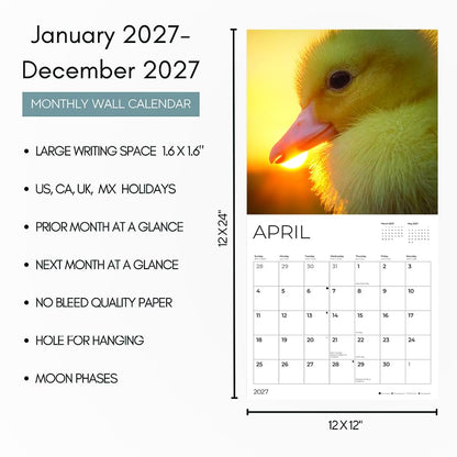 '27 Wall Calendar - Baby Ducks