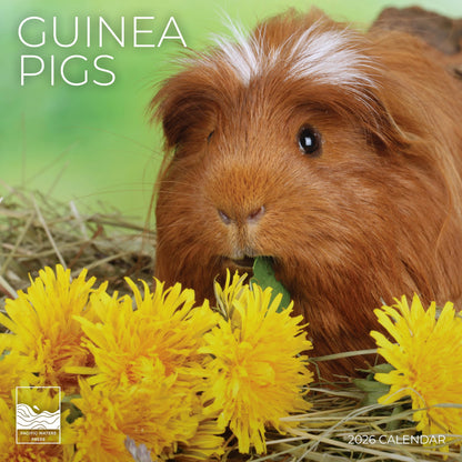 '26 Wall Calendar - Baby Animals