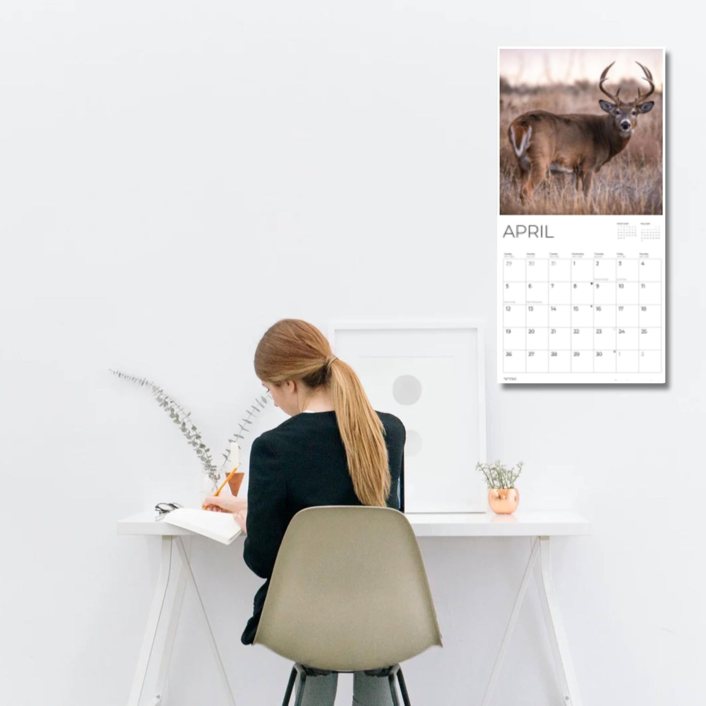 '26 Wall Calendar - Baby Animals