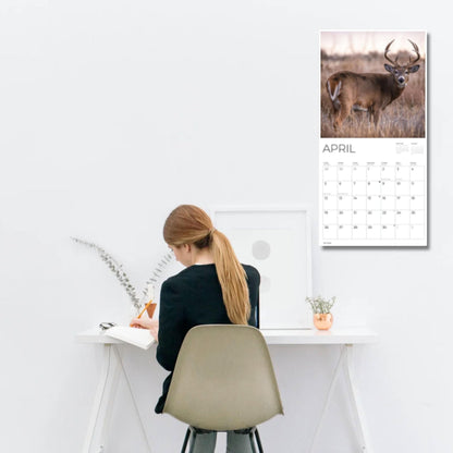 '26 Wall Calendar - Baby Animals