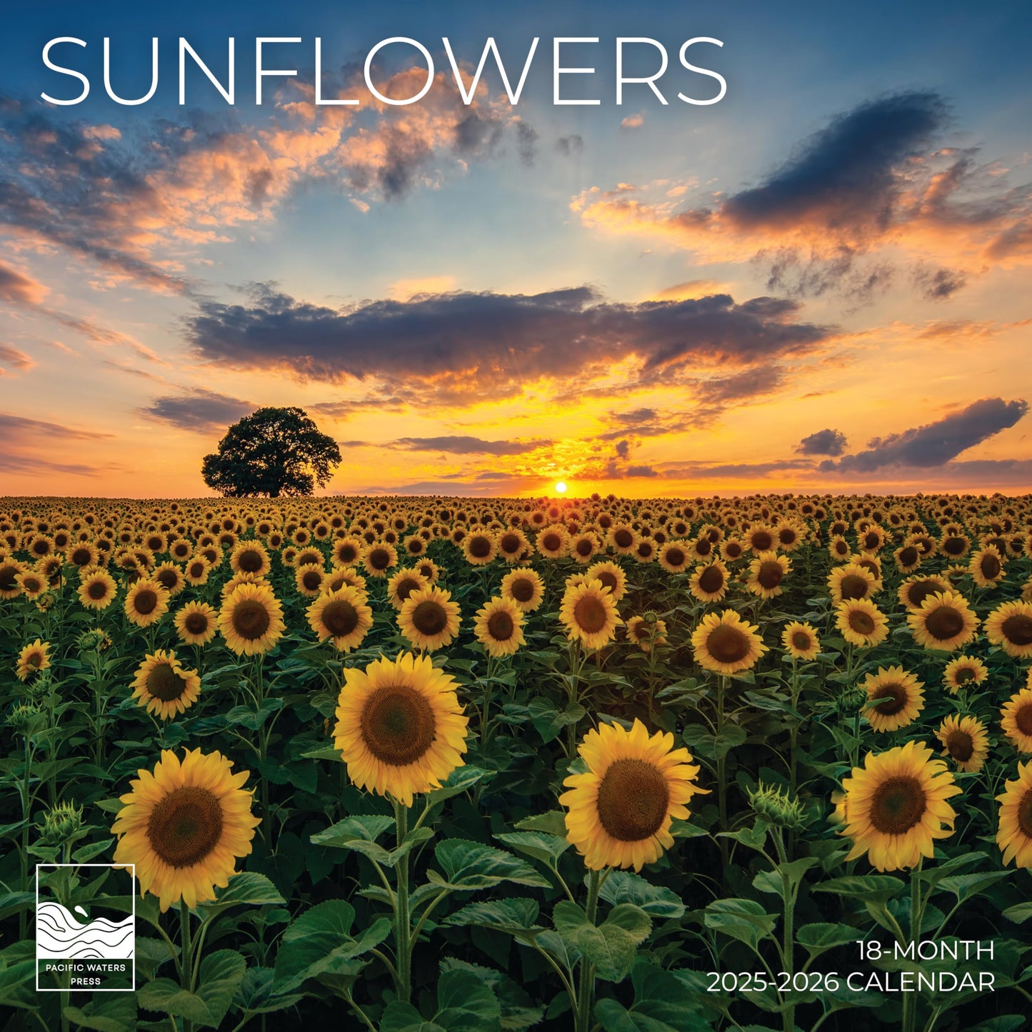 '26 Wall Calendar - Pathways - 18mo