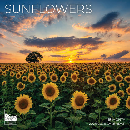 '26 Wall Calendar - Pathways - 18mo