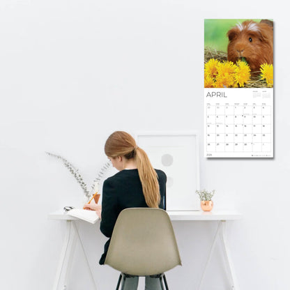 '26 Wall Calendar - Baby Animals