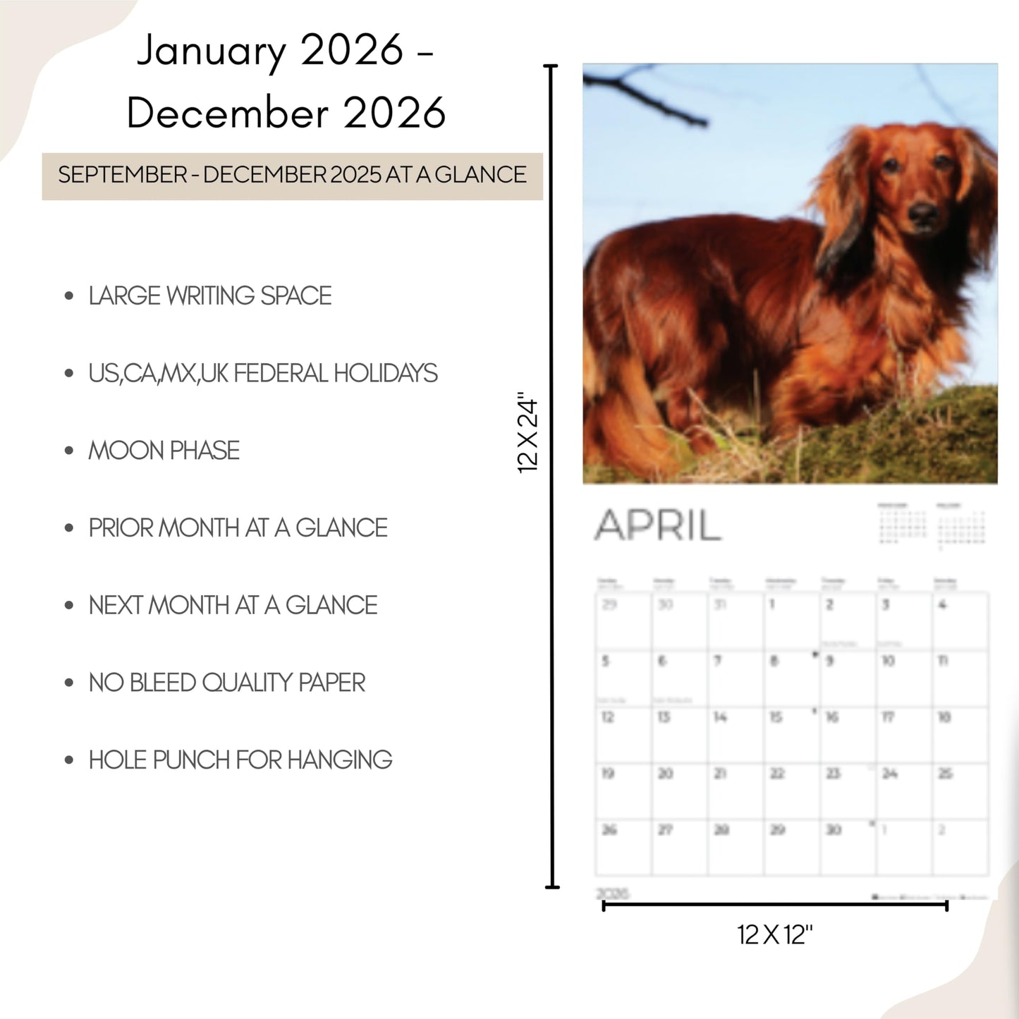 '26 Wall Calendar - Dogs