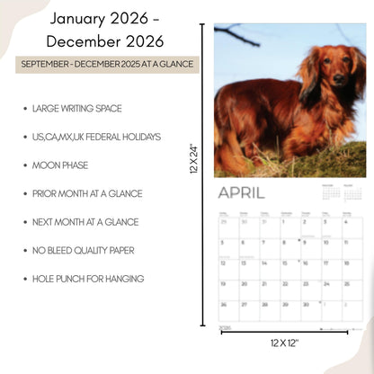 '26 Wall Calendar - Dogs