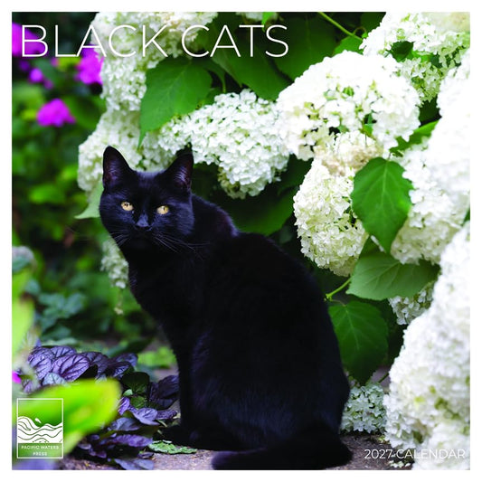 '27 Wall Calendar - Black Cats